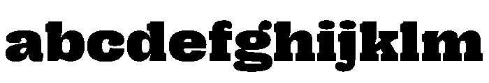 PPRightSlab WideBlack Instance FONT