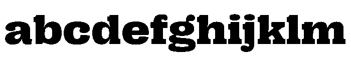 PPRightSlab WideDark Instance FONT