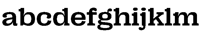 PPRightSlab WideMedium Instance FONT