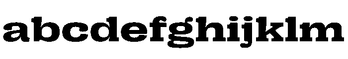 PPRightSlabSpatial Bold Instance FONT