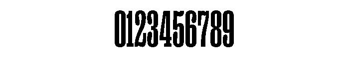 PPRightSlabTall Bold Instance Font OTHER CHARS