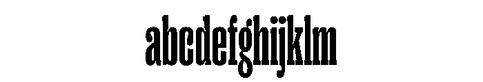 PPRightSlabTall Bold Instance FONT