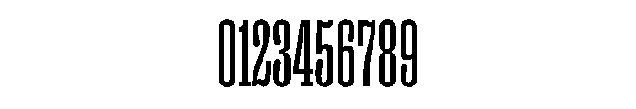 PPRightSlabTall Regular Instance Font OTHER CHARS