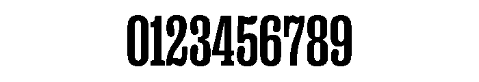 PPRightSlabTight Bold Instance Font OTHER CHARS