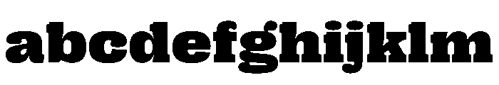 PPRightSlabWide Black Instance FONT