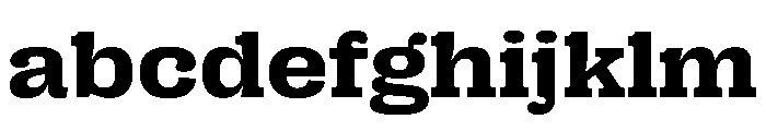 PPRightSlabWide Bold Instance FONT