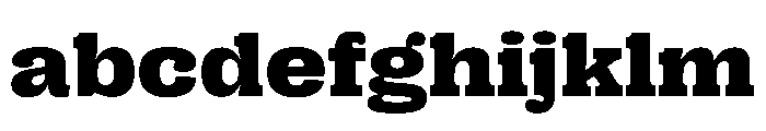 PPRightSlabWide Dark Instance FONT