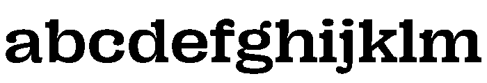 PPRightSlabWide Medium Instance FONT