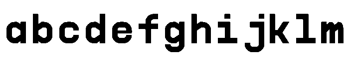 PPSupplyMono Bold Instance FONT