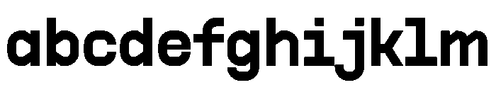 PPSupplySans Bold Instance FONT