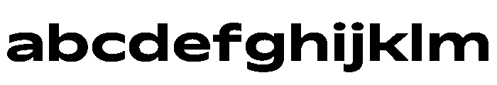 PPWatch Bold Instance FONT