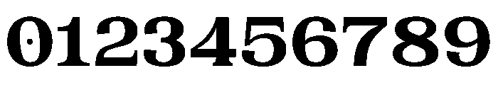 PPWoodland Heavy 8eb13cfe Font OTHER CHARS