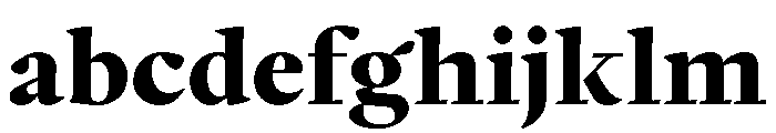 PPWriter Black Instance FONT