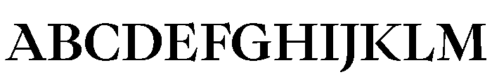 PPWriter Bold Instance Font UPPERCASE