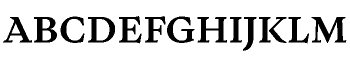 PPWriter BoldText Instance Font UPPERCASE