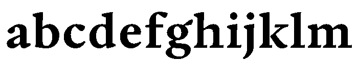 PPWriter BoldText Instance FONT