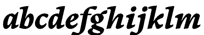 PPWriter ExtraBoldItalic Instance FONT
