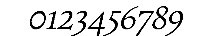 PPWriter LightItalic Instance Font OTHER CHARS