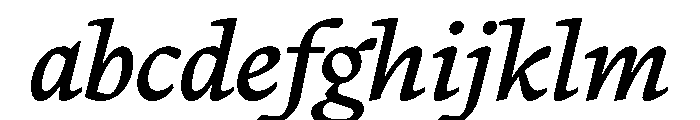 PPWriter MediumItalic Instance FONT