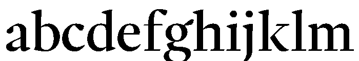 PPWriter Medium FONT