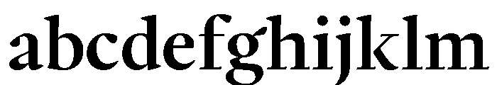 PPWriter Semibold Instance FONT