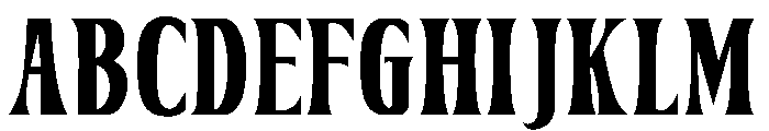 PREMIUM LOOK FONT