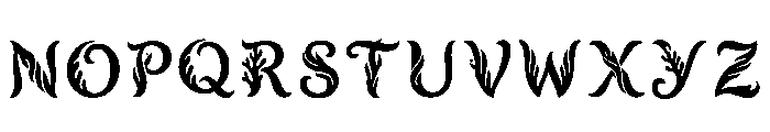 Progn Regular Font LOWERCASE