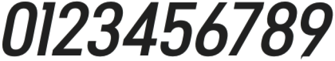 PREVALENT SANS PRO Bold Italic otf (700) Font OTHER CHARS