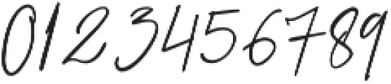 Prestige Signature Script otf (400) Font OTHER CHARS