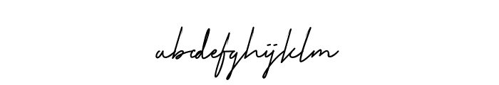 Primera_Signature Font LOWERCASE