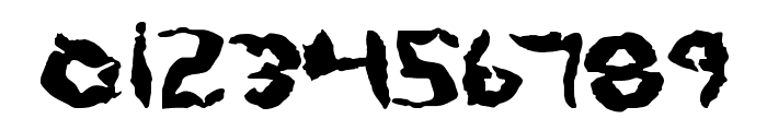 Protoplasm Font OTHER CHARS