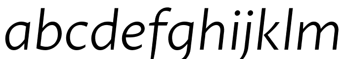 Proza Libre Light Italic Font LOWERCASE