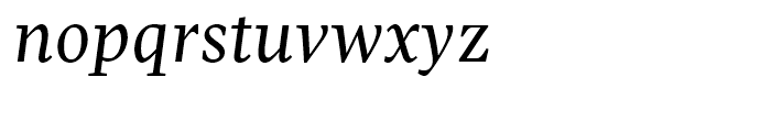 Pratt Nova Text Regular Italic Font LOWERCASE