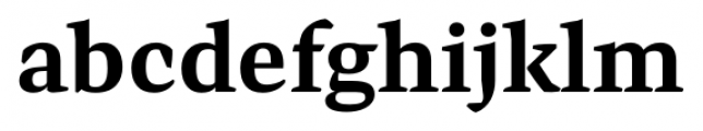 Preto Serif Bold Font LOWERCASE