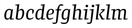 Preto Serif Italic Font LOWERCASE