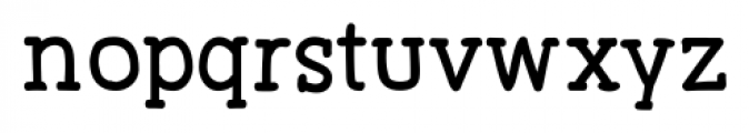 Primitiva Slab Bold Font LOWERCASE