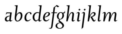 Priori Serif Italic Font LOWERCASE