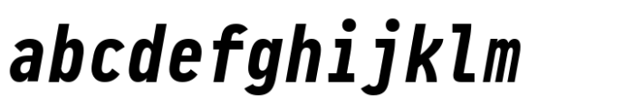 Pragmata Pro Mono Bold Italic Liga Font LOWERCASE
