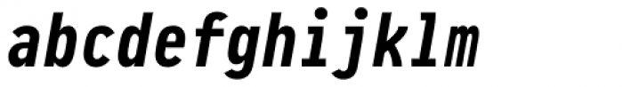 Pragmata Pro Mono Bold Italic Font LOWERCASE