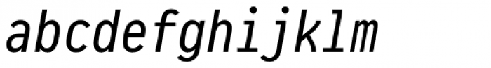 Pragmata Pro Mono Italic Font LOWERCASE