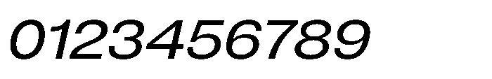 Pragmatica Next Extended Slanted Font OTHER CHARS