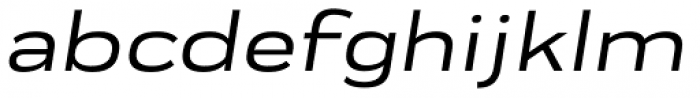 Praktika Medium Extended Italic Font LOWERCASE