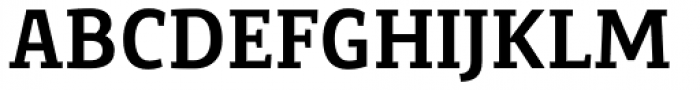 Precious Serif Bold Font UPPERCASE
