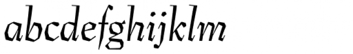 Preissig Antikva Italic Font LOWERCASE