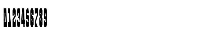 Pressato Condensed Black Slant Font OTHER CHARS