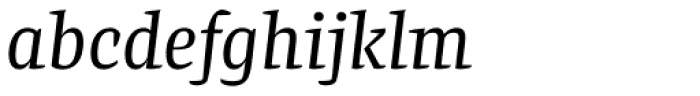 Preto Serif Italic Font LOWERCASE