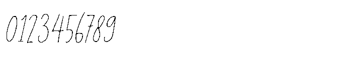 Privacy Filter Caps Italic Font OTHER CHARS