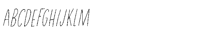 Privacy Filter Caps Italic Font UPPERCASE
