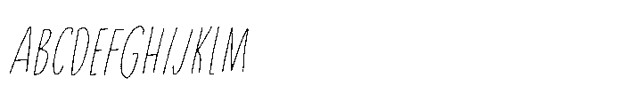 Privacy Filter Caps Italic FONT