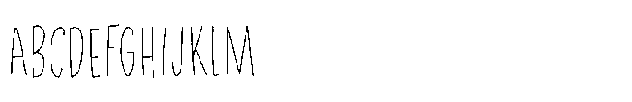 Privacy Filter Caps Regular Font UPPERCASE